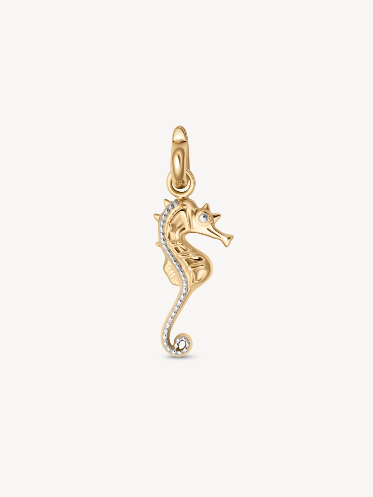 Seahorse Charm