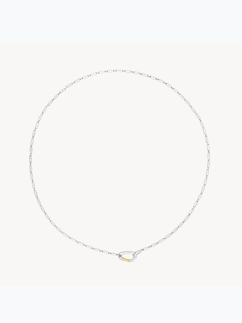 Mason Chain Carabiner Necklace