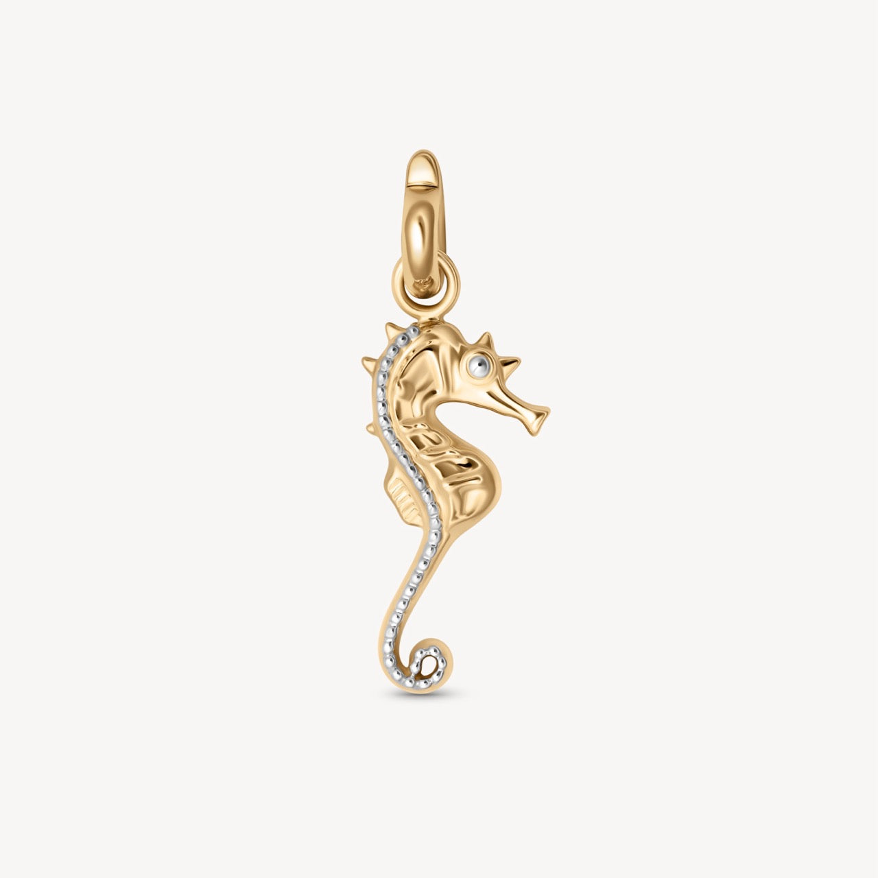 Seahorse Charm