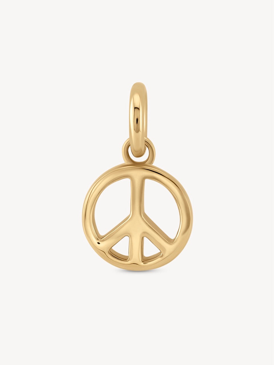Mini Golden Charms