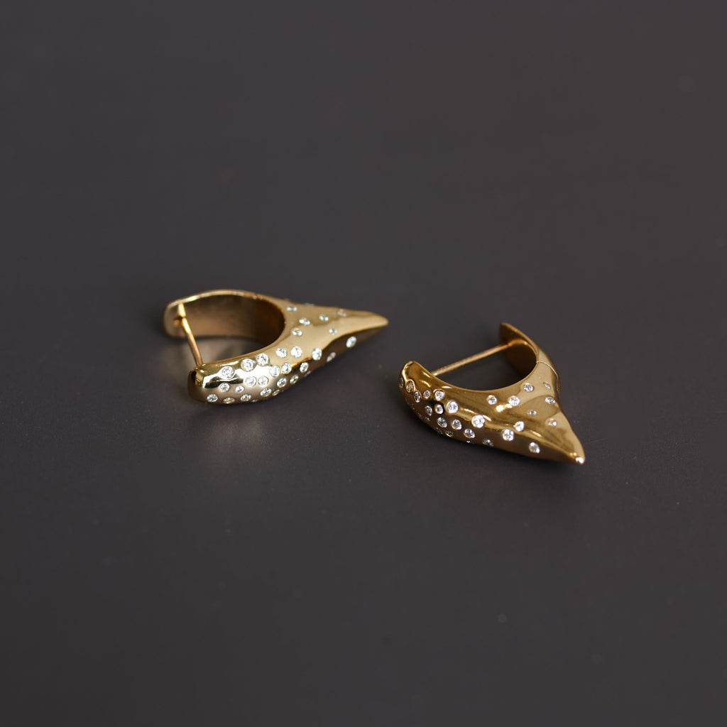 Diamonds in the Rough Pointed Hoops
