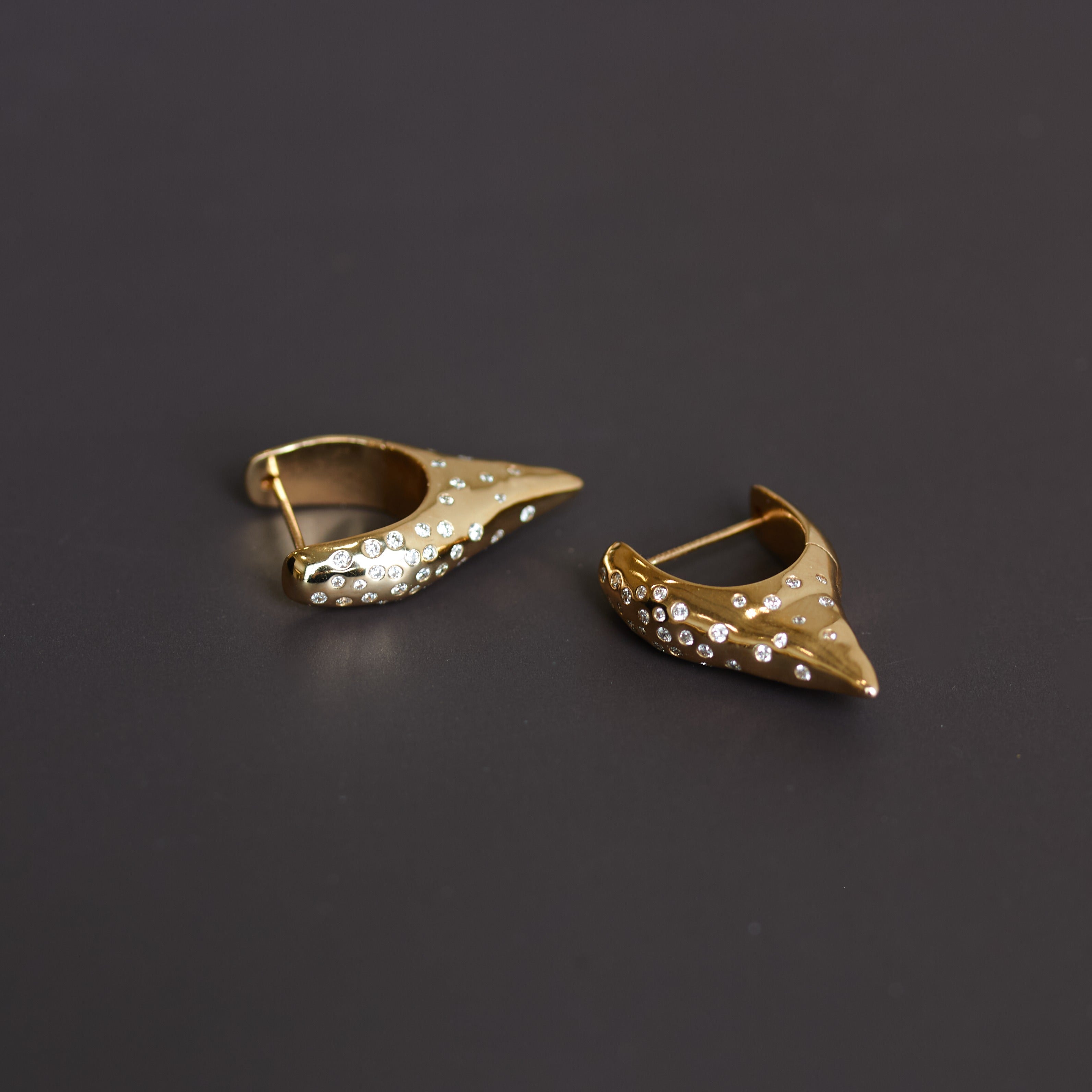 Diamonds in the Rough Pointed Hoops