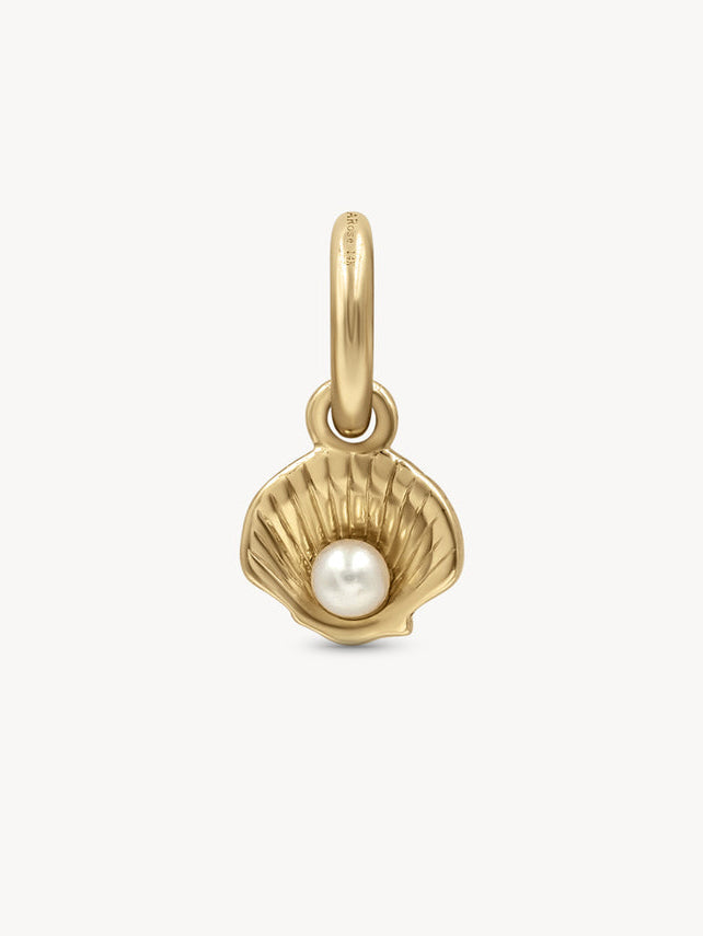 Mini Golden Charms